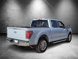 New 2025 Ford F150 XLT w/ Equipment Group 303A High image 3