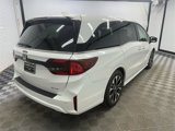 New 2025 Honda Odyssey Elite image 5