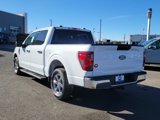 New 2025 Ford F150 XLT w/ Equipment Group 301A Standard image 3