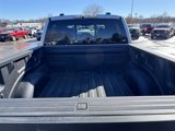 New 2025 Ford F150 Raptor image 5