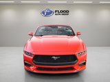 Used 2024 Ford Mustang Premium image 2