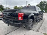 Used 2016 Ford F150 XLT w/ Equipment Group 302A Luxury image 5