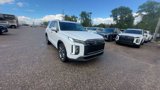 New 2025 Hyundai Palisade Limited image 2
