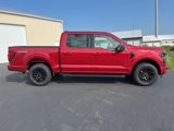 New 2025 Ford F150 XLT image 2