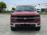 Used 2024 Ford F150 XLT w/ Equipment Group 302A MID image 2