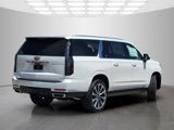 New 2025 Cadillac Escalade ESV Premium Luxury Platinum image 4