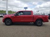 Certified 2022 Ford F150 XLT w/ Equipment Group 302A High image 4