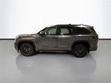 New 2025 Toyota Sequoia Platinum image 4