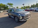 New 2025 Hyundai Palisade Calligraphy image 4