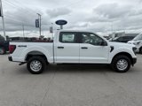 New 2025 Ford F150 XL w/ Tow/Haul Package image 2