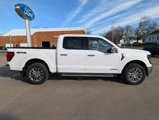 New 2024 Ford F150 XLT w/ Equipment Group 302A MID image 4