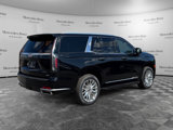 Used 2023 Cadillac Escalade Premium Luxury image 5