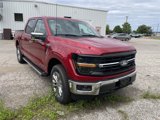 New 2025 Ford F150 XLT w/ Equipment Group 302A MID image 4