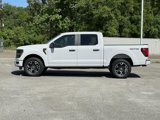 New 2025 Ford F150 STX w/ Equipment Group 200A image 4
