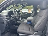 New 2025 Ford F150 XLT image 5