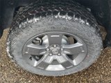 New 2025 Honda Ridgeline TrailSport image 5