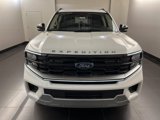 New 2025 Ford Expedition Platinum image 2