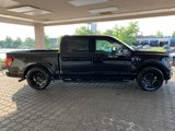 New 2025 Ford F150 XLT w/ Equipment Group 302A MID image 4