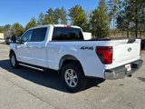 New 2025 Ford F150 XLT w/ Equipment Group 301A Standard image 3