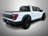 Used 2023 Ford F150 Raptor image 5