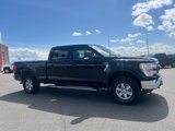 Used 2022 Ford F150 XLT image 2