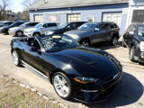 Used 2021 Ford Mustang Premium w/ Equipment Group 201A image 6