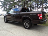 Used 2019 Ford F150 XLT w/ Equipment Group 302A Luxury image 2