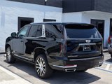 Used 2025 Cadillac Escalade Premium Luxury Platinum image 3