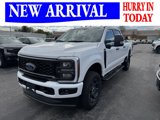 New 2025 Ford F250 XL image 3