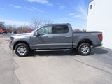 New 2025 Ford F150 XLT w/ Equipment Group 302A MID image 2