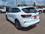 Used 2023 Ford Escape ST-Line image 3