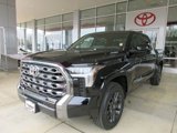 New 2025 Toyota Tundra Platinum image 6