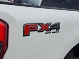 New 2025 Ford F250 King Ranch image 5