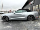Used 2020 Ford Mustang Premium image 4