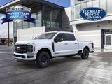 New 2025 Ford F250 Platinum image 2