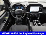 New 2025 Ford F150 STX w/ Equipment Group 200A image 4