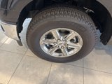 New 2024 Ford F150 XLT w/ Equipment Group 302A MID image 4