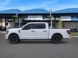 New 2025 Ford F150 STX image 3