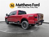 New 2025 Ford F250 XLT w/ Black Appearance Package image 4