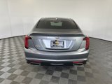 Certified 2021 Cadillac CT5 Luxury w/ Sun And Sound Package image 4
