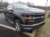New 2025 Ford F150 XLT image 2