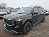 New 2025 Kia Carnival SX Prestige image 3
