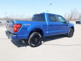New 2025 Ford F150 STX image 3