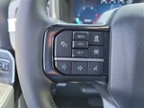New 2025 Ford F250 Platinum w/ Tremor Off-Road Package image 5