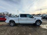 New 2025 Ford F150 XLT w/ Equipment Group 301A Standard image 4