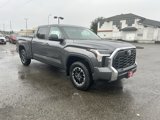 New 2025 Toyota Tundra SR5 image 3