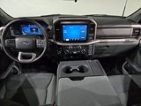New 2025 Ford F150 XLT w/ Equipment Group 301A Standard image 3