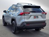New 2025 Toyota RAV4 XLE Premium image 5