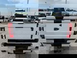 New 2025 Ford F250 XLT image 4