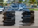 New 2025 Ford Expedition Platinum w/ Stealth Appearance Package image 3